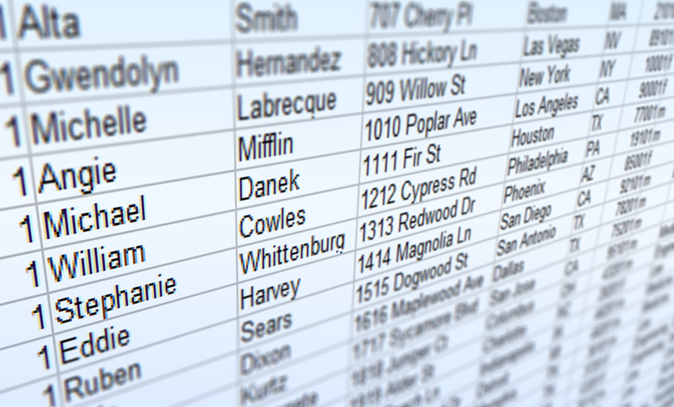Close-up of a spreadsheet displaying names, addresses, and city/state information in a tabular format, with blurred edges for a depth effect.